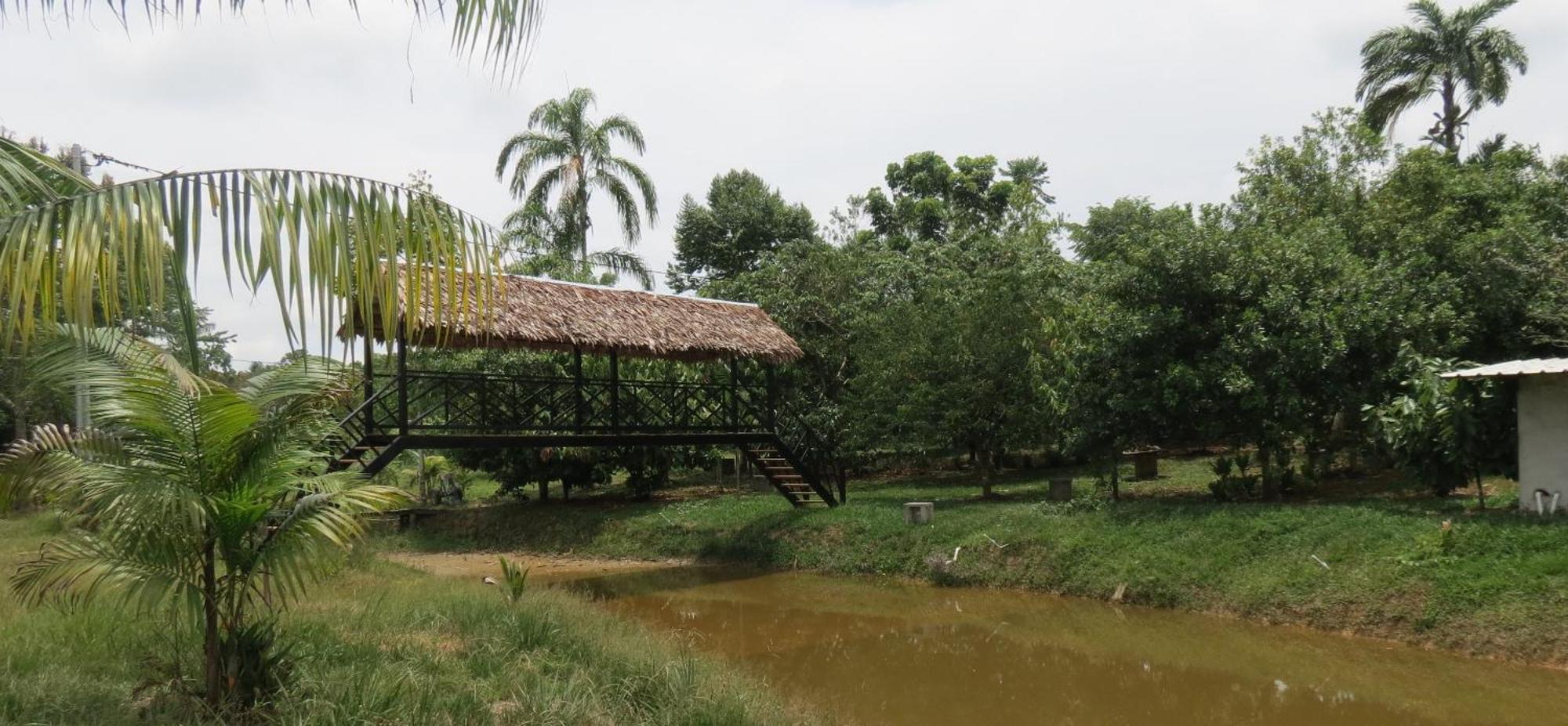 Hotel Boutique Villaliliana เลติเซีย ภายนอก รูปภาพ